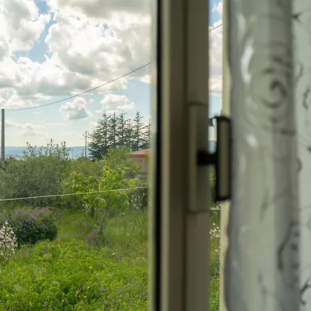 Apartament Rosa